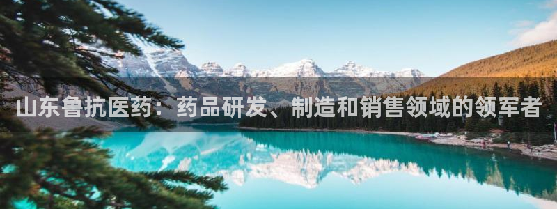 九游会官网进入口