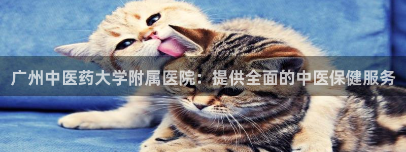 J9九游会登陆