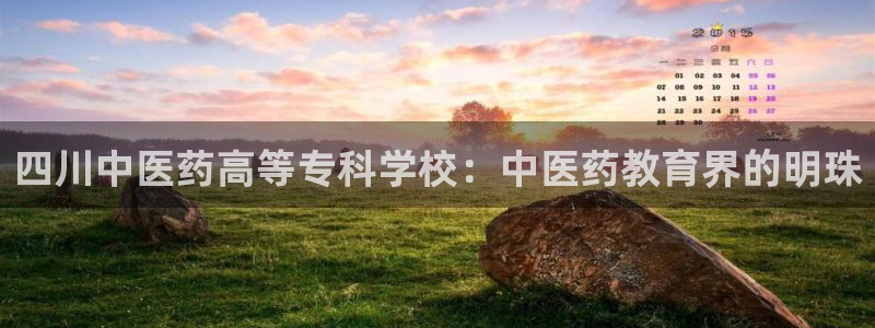 九游会AG下载手机端