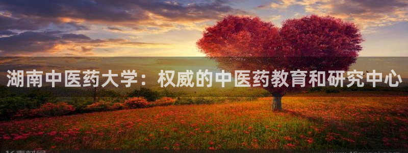 九游会ag亚洲