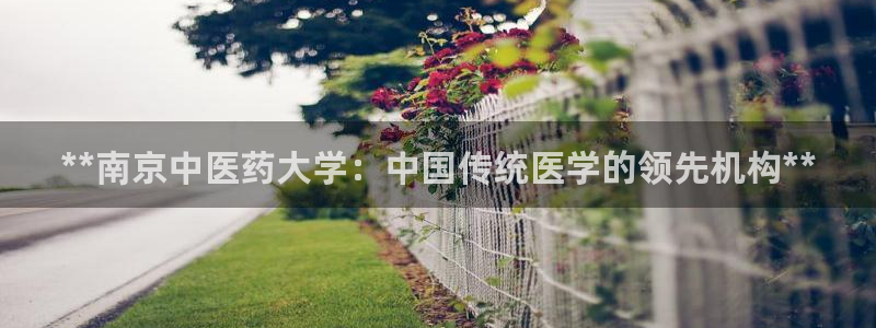 ag8九游会登入