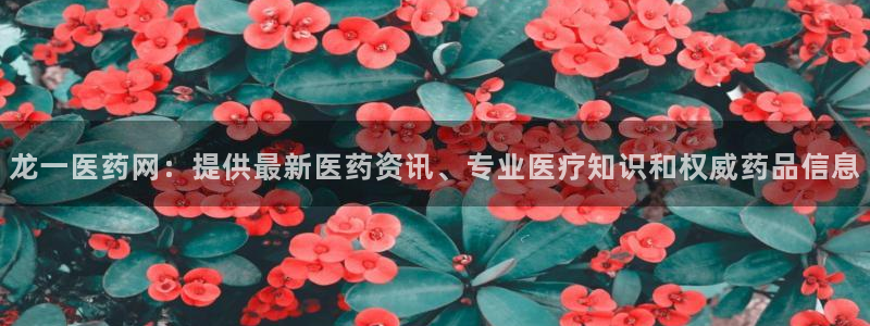 ag九游老哥俱乐部
