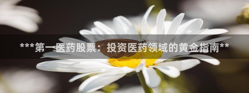 九游会官网多少