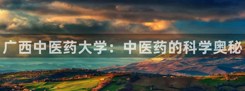 九游会怎么提款