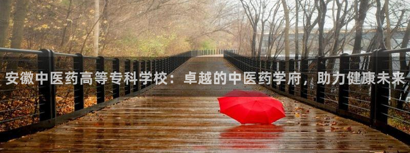 九游会ag真人官网在哪