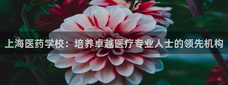 九游会登录网站吗