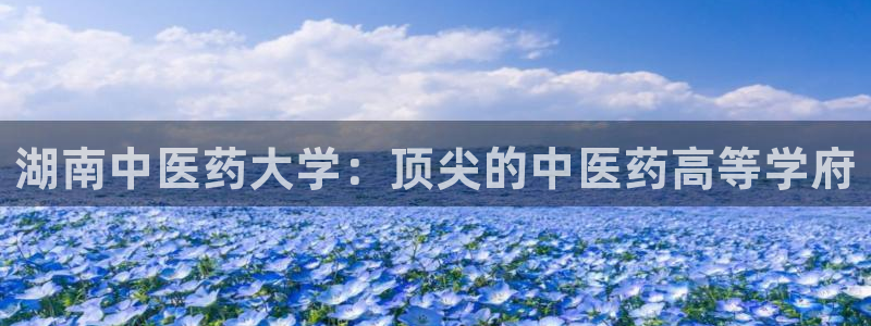 j9九游会老哥俱乐部官网