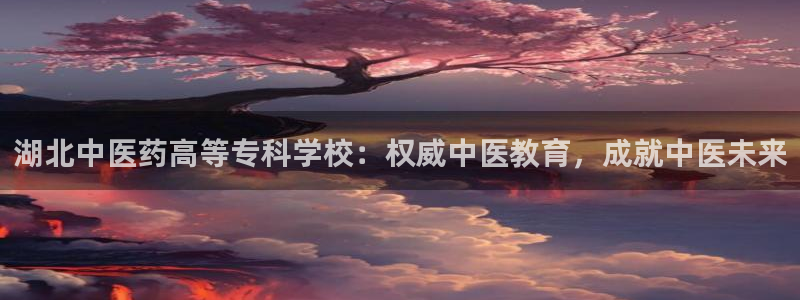 ag九游会