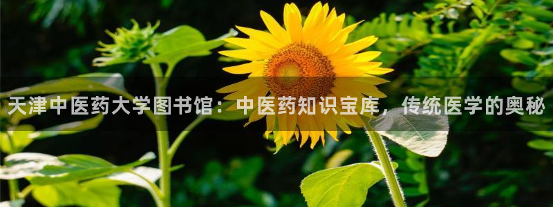 九游会官网老哥俱乐部