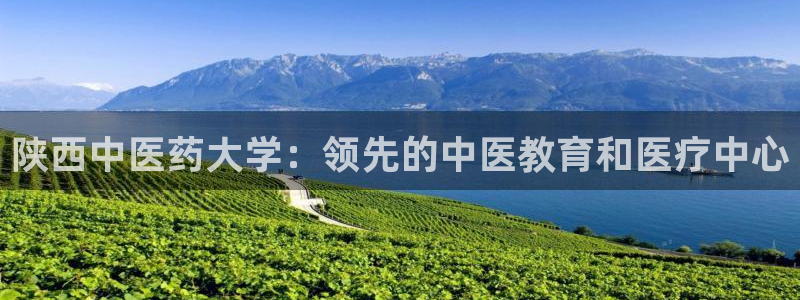 九游会是什么组织