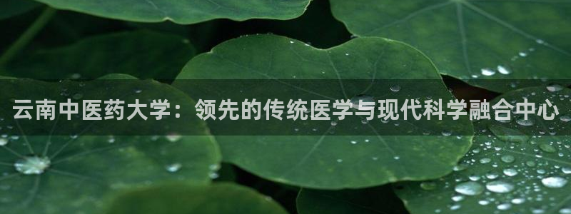 九游会平台老哥俱乐部
