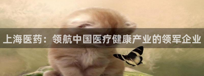 九游会app下载版官网正版安卓