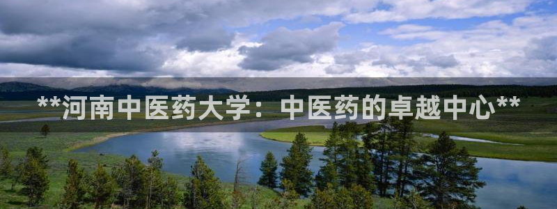 九游会中国入口