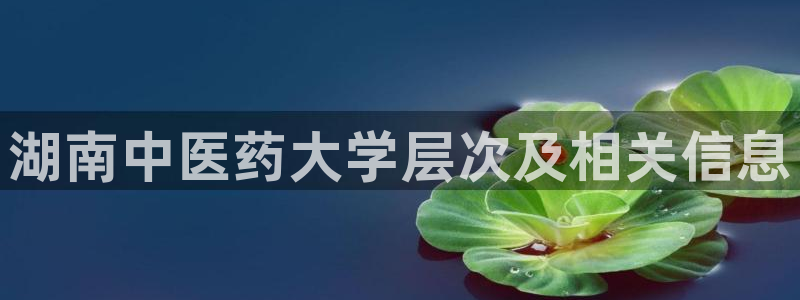 九游会官网入口首页