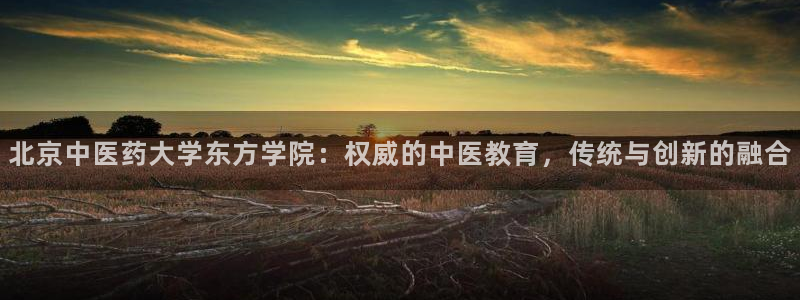 九游会官方在线