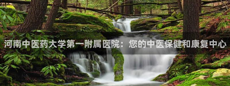 j9九游会网址