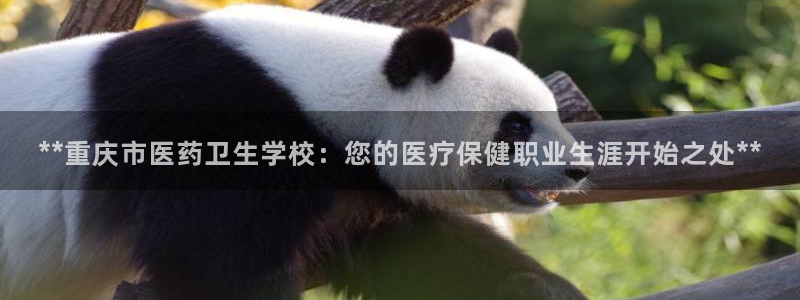 九游J9官方网站