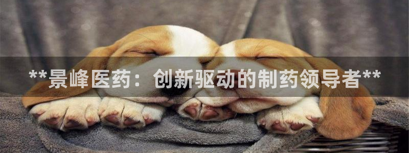 九游会.com