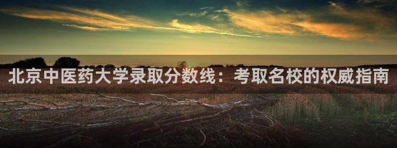 九游会ag老哥俱乐部