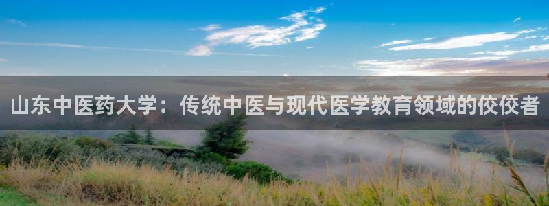 九游会j9官网