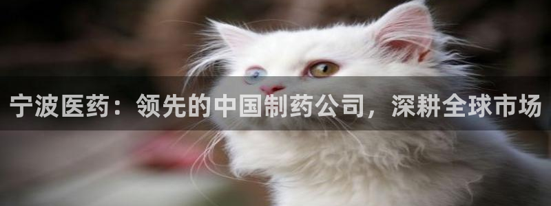 九游会官网APP平台