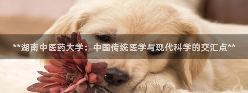 J9九游会强势登录
