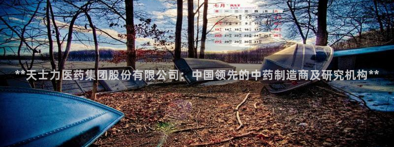 九游会ag入口