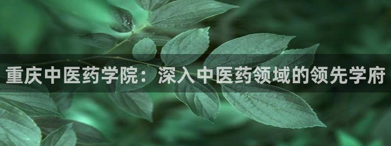 九游会ag私享