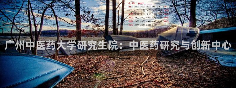 j9九游会app下载