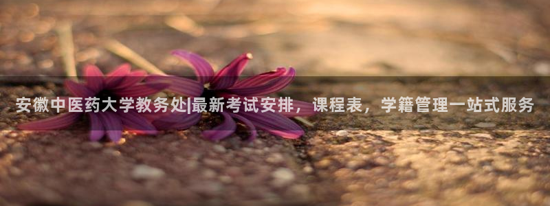 九游J9平台