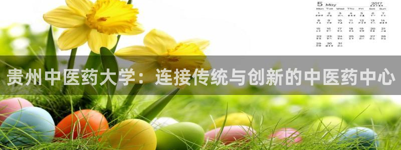 九游j9登录