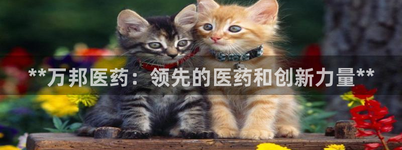 九游会老哥俱乐部官网首页论坛