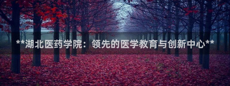 九游会关服吗