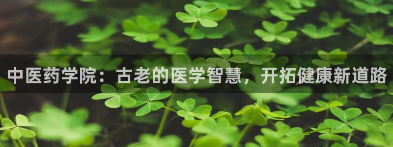 j9九游会真人第一品牌