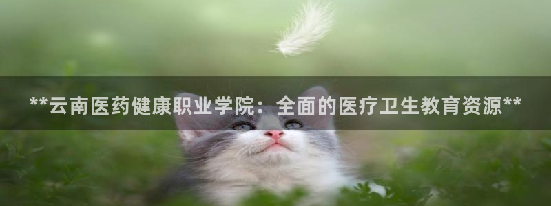 九游会官方首页登录