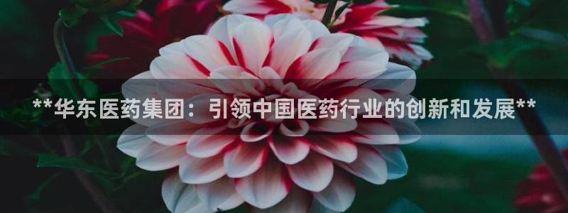 九游会官网客户端