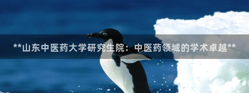 九游会集团币圈