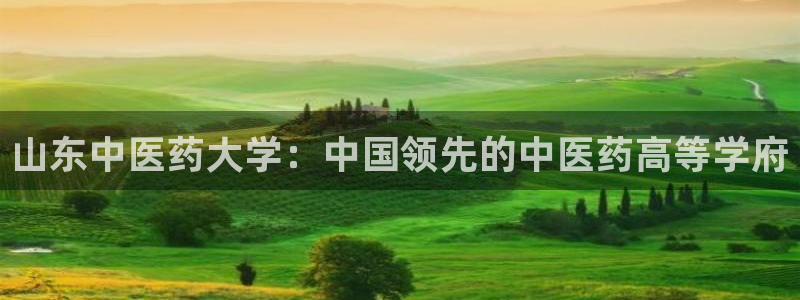 九游会怎么提币