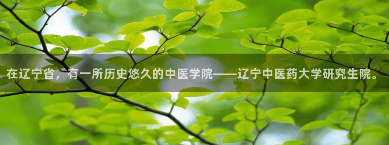 j9九游会老哥俱乐部