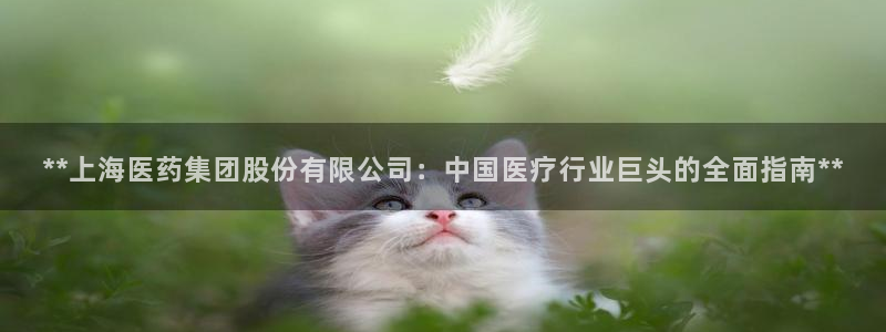j9九游会真人游戏第一