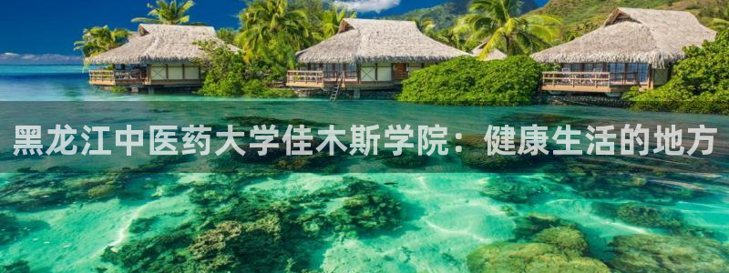 九游会官网老哥俱乐部