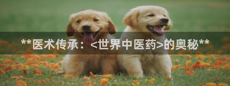 九游会集团官网