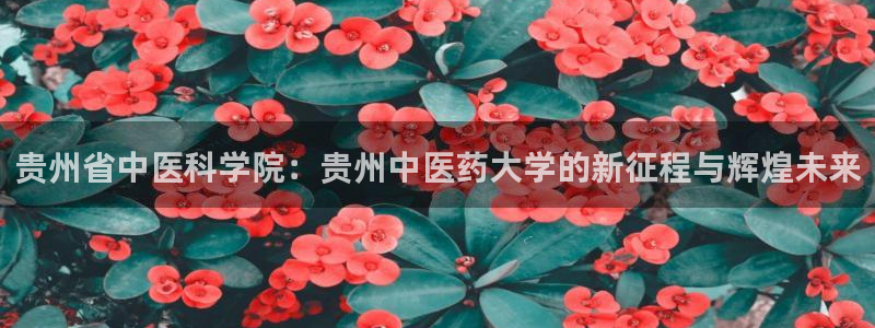 九游会官网真人认证吗安全吗