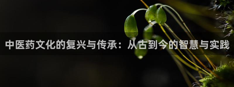 九游会贴吧
