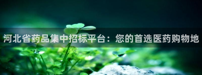 九游会老哥俱乐部官网