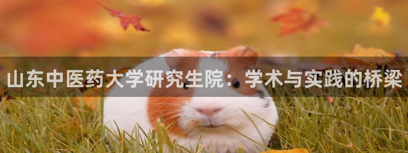 九游会官网真人
