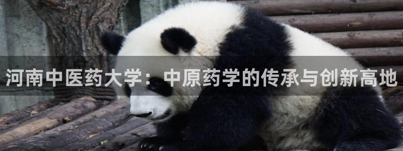 九游会首页进入