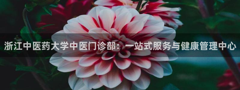 9游会ag