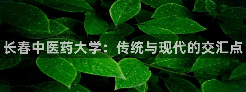 j9九游会会员日