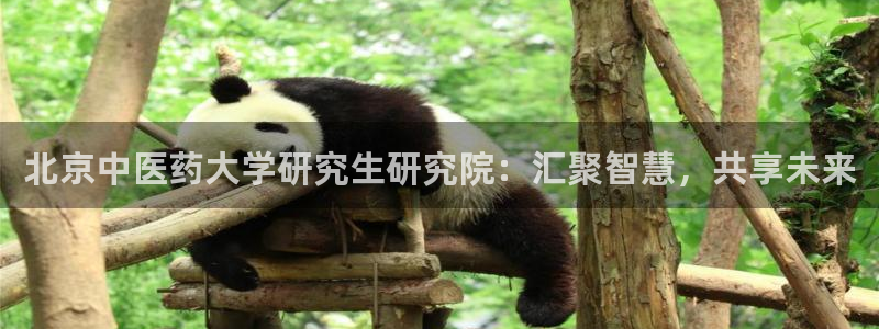 九游会app下载版官网正版安卓